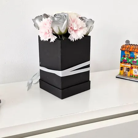 уютный Ray в варне * Warna